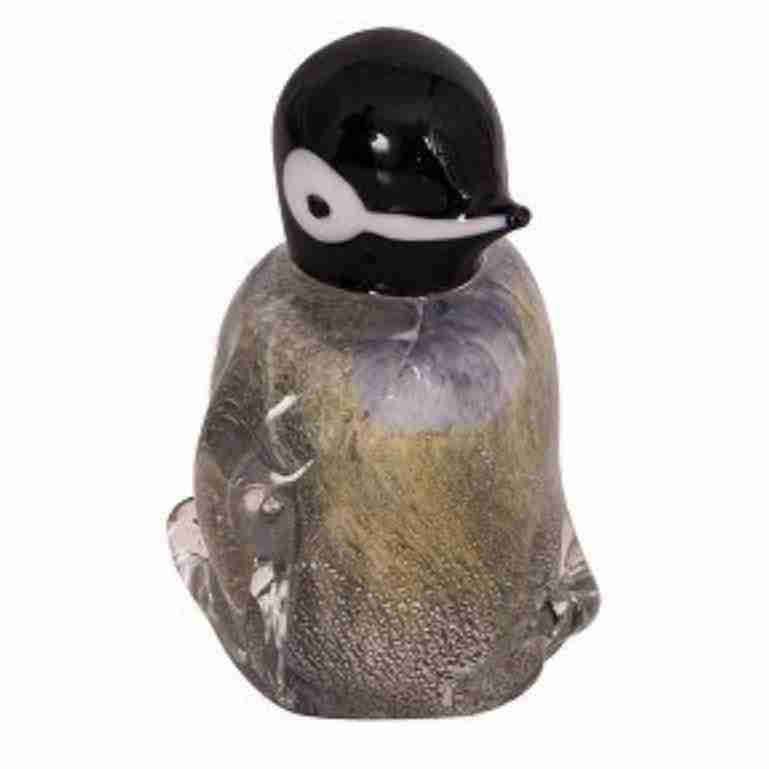 Glass Penguin Chick